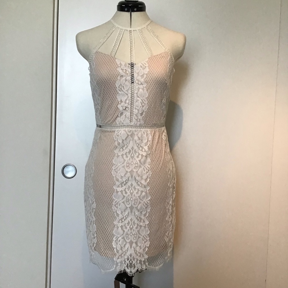 NWT F21 lace halter bodycon dress